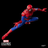 Marvel Legends Series The Amazing Spider-Man